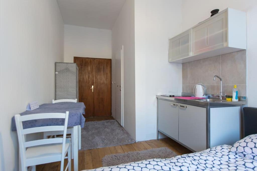 Central Zagreb Apartment Экстерьер фото